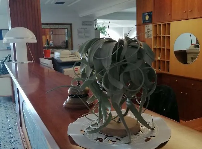 La Primavera Hotel 3*