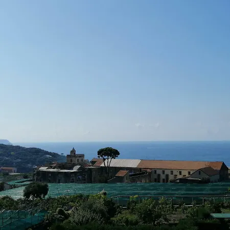 Hotel La Primavera 3*